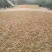河北省保定市顺平县熟条黄花菜金针菜大量现货20吨
