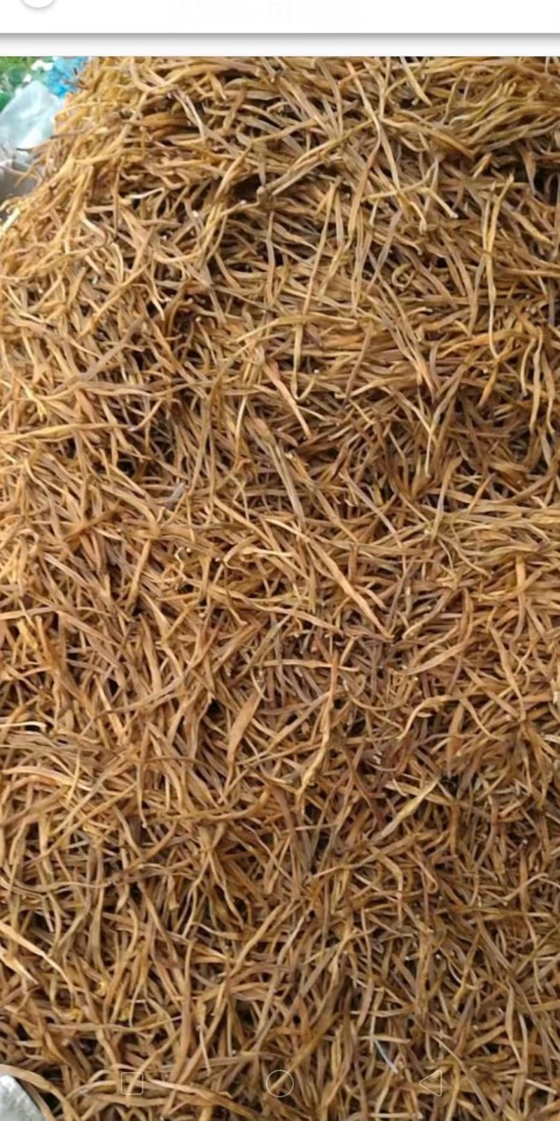 河北省保定市顺平县熟条黄花菜金针菜大量现货20吨
