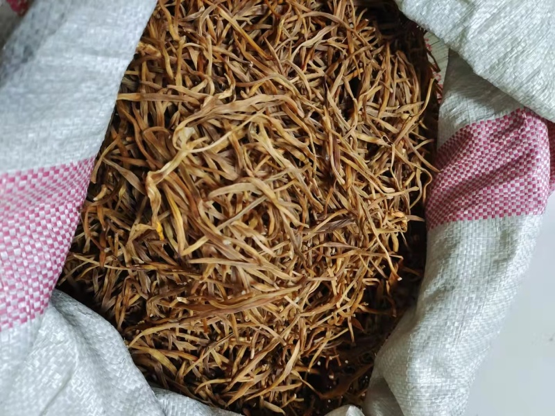河北省保定市顺平县熟条黄花菜金针菜大量现货20吨
