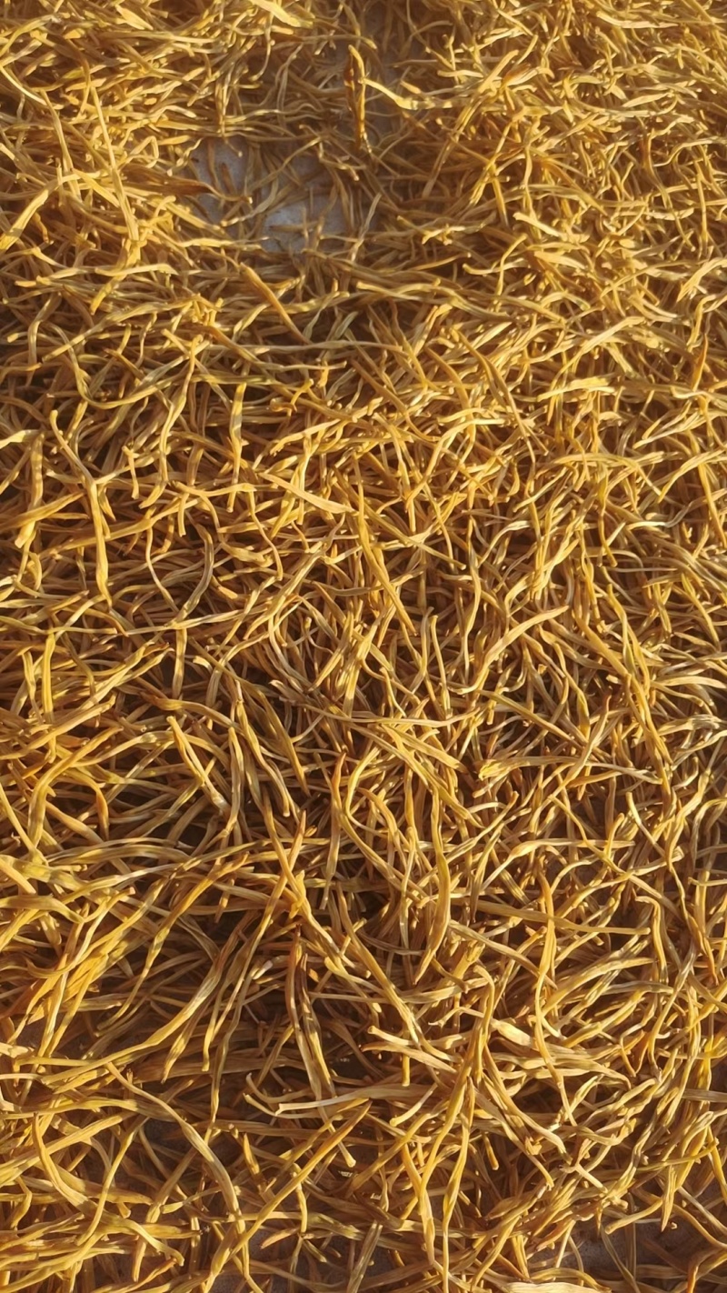 河北省保定市顺平县熟条黄花菜金针菜大量现货20吨