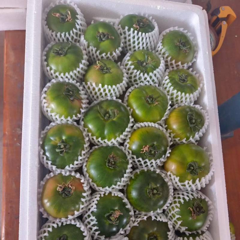 精品草莓西红柿铁皮西红柿铁皮柿子草莓番茄新鲜采摘产地直达
