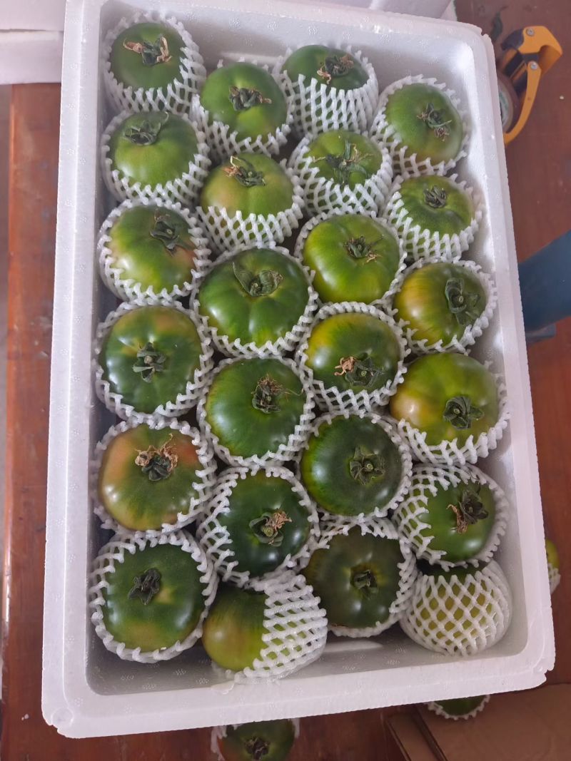 精品草莓西红柿铁皮西红柿铁皮柿子草莓番茄新鲜采摘产地直达