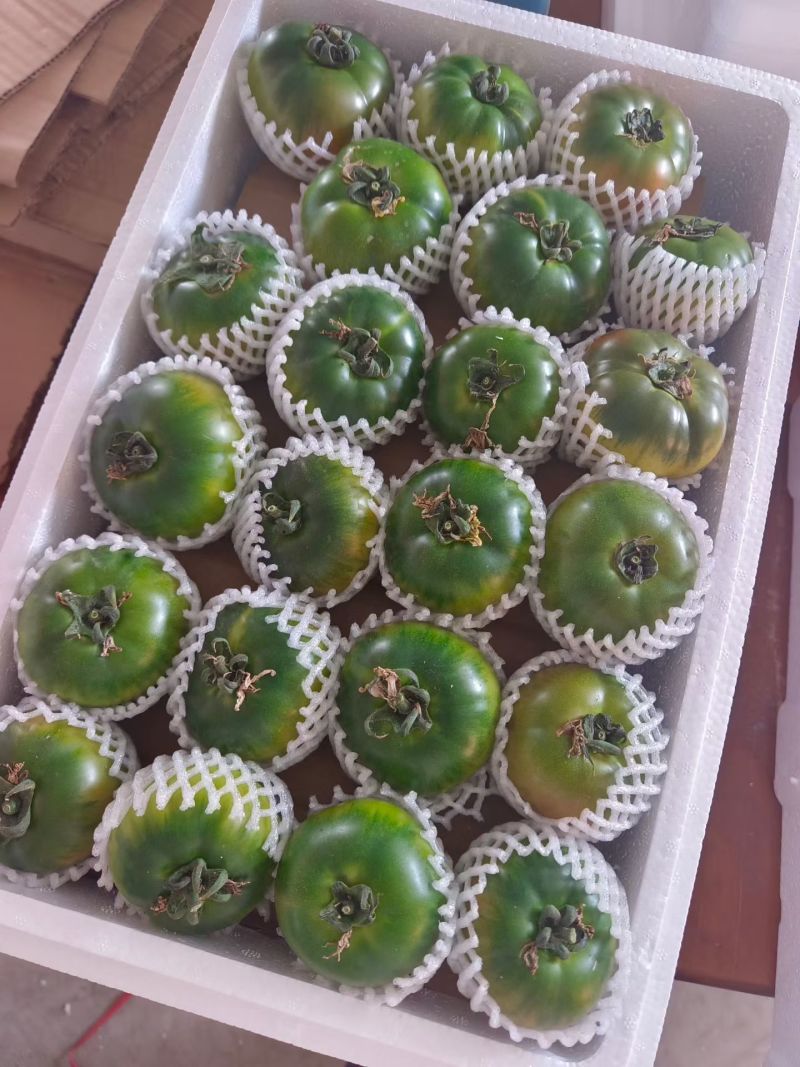 精品草莓西红柿铁皮西红柿铁皮柿子草莓番茄新鲜采摘产地直达