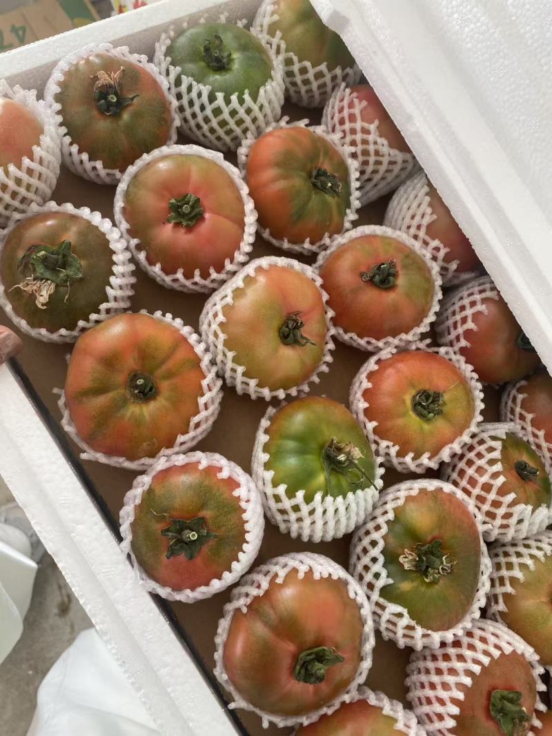 精品草莓西红柿铁皮西红柿铁皮柿子草莓番茄新鲜采摘产地直达
