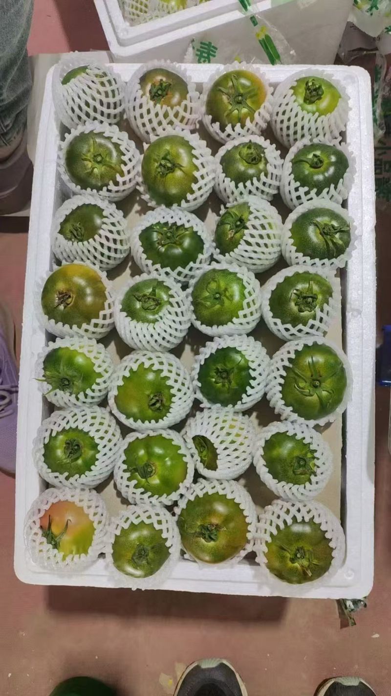 精品草莓西红柿铁皮西红柿铁皮柿子草莓番茄新鲜采摘产地直达