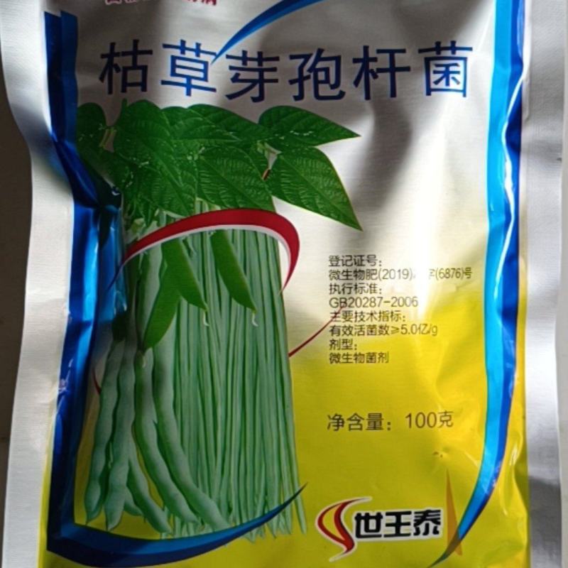 枯草芽孢杆菌白粉病锈病蔬菜果树枯草芽孢杆菌白粉病稻瘟病黄