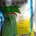 枯草芽孢杆菌白粉病锈病蔬菜果树枯草芽孢杆菌白粉病稻瘟病黄