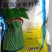 枯草芽孢杆菌白粉病锈病蔬菜果树枯草芽孢杆菌白粉病稻瘟病黄