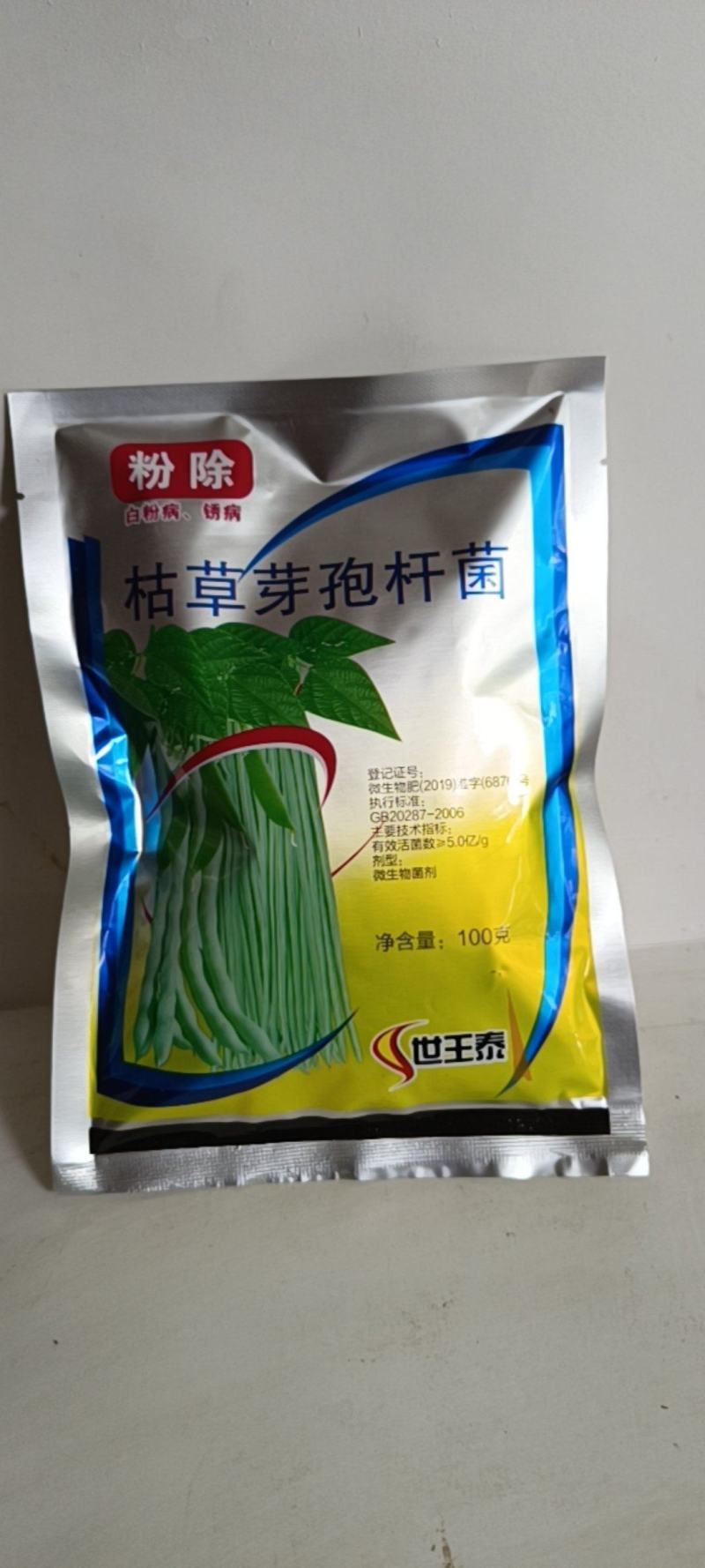枯草芽孢杆菌白粉病锈病蔬菜果树枯草芽孢杆菌白粉病稻瘟病黄