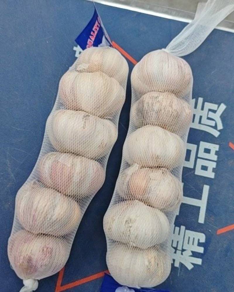网串蒜