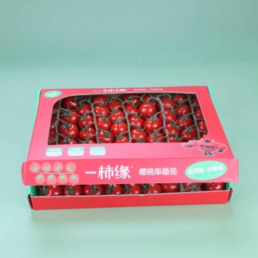 精品串番茄