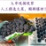 巨峰葡萄🍇