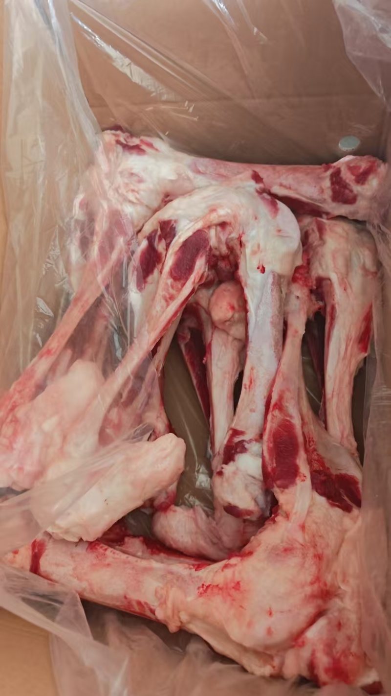 后腿骨