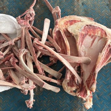 微微带肉牛骨头，牛肋条剔下来扇子骨