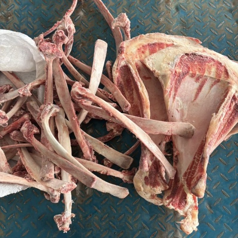 微微带肉牛骨头，牛肋条剔下来扇子骨