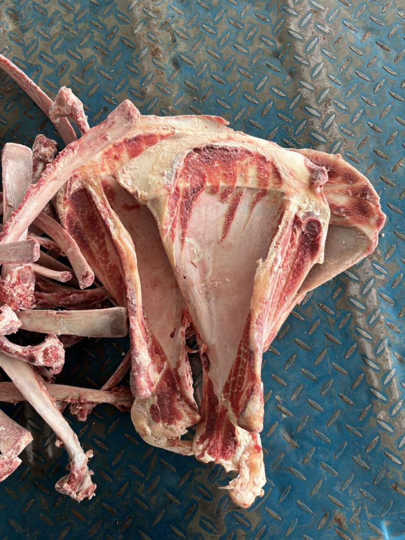 微微带肉牛骨头，牛肋条剔下来扇子骨