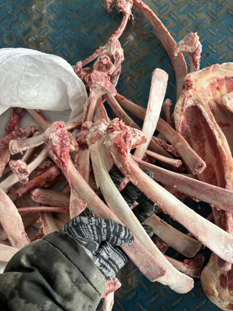 微微带肉牛骨头，牛肋条剔下来扇子骨