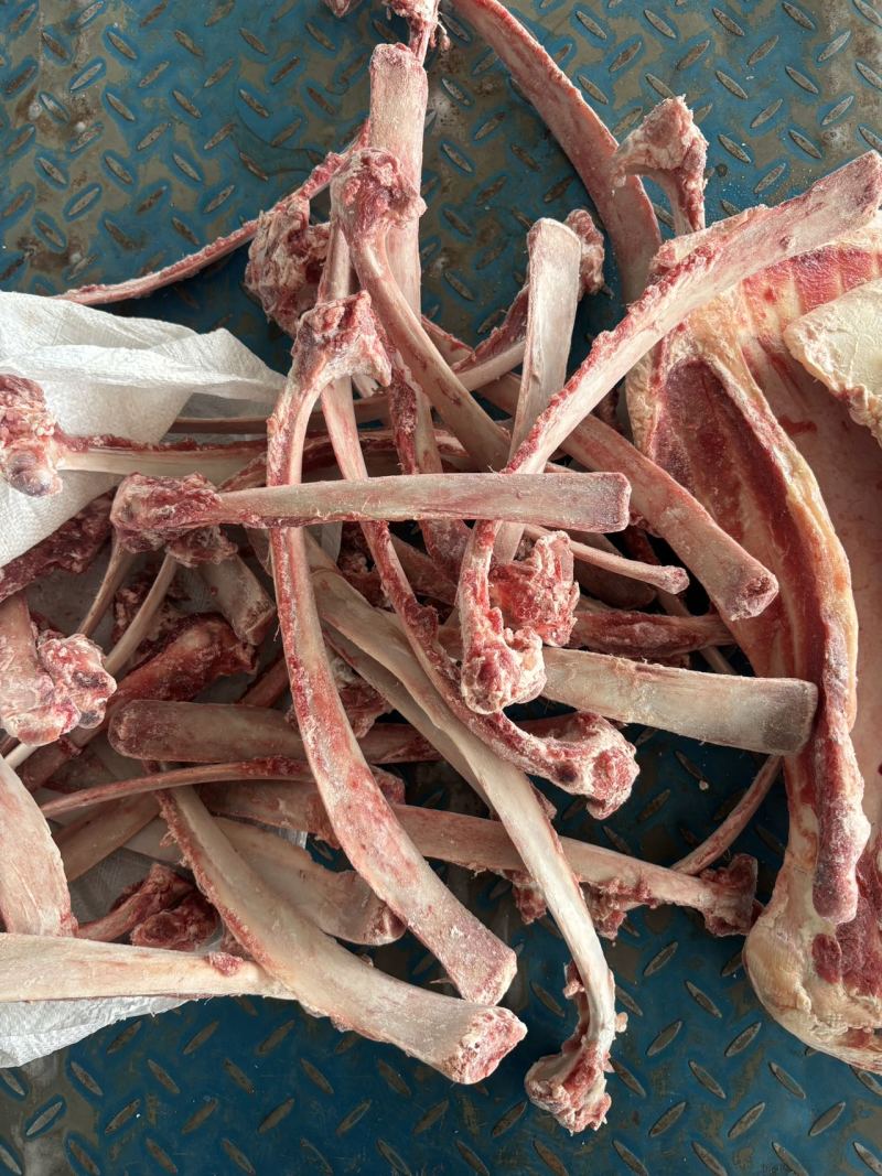 微微带肉牛骨头，牛肋条剔下来扇子骨
