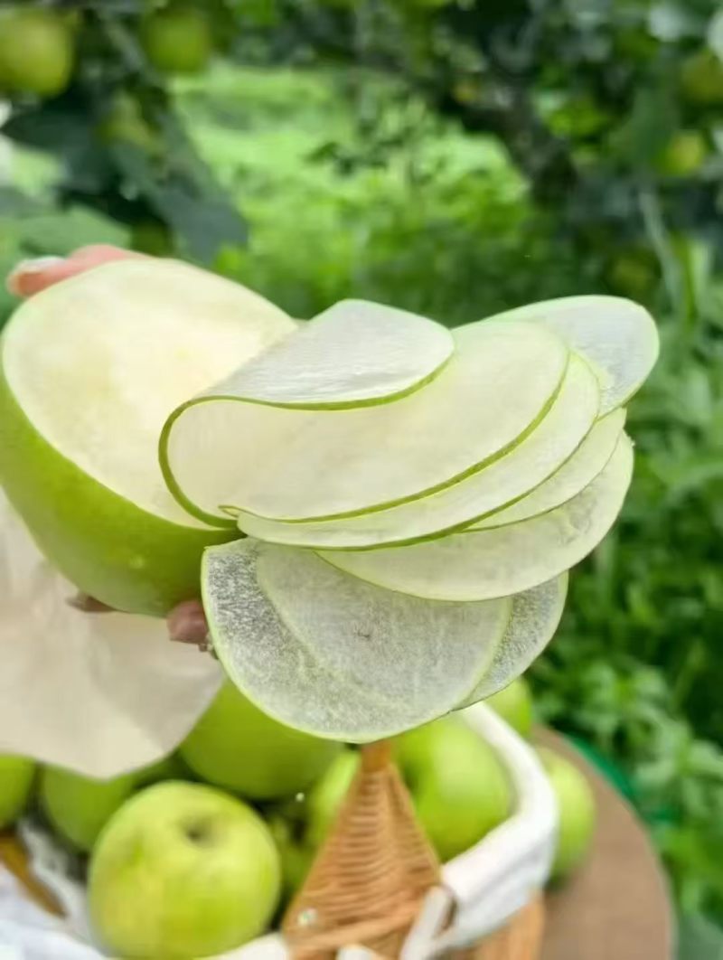 翠冠梨酥脆夏玉518翠玉梨