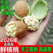 老树山核桃、青皮核桃、水核桃纸皮鲜核桃、绵仁核桃大量供应