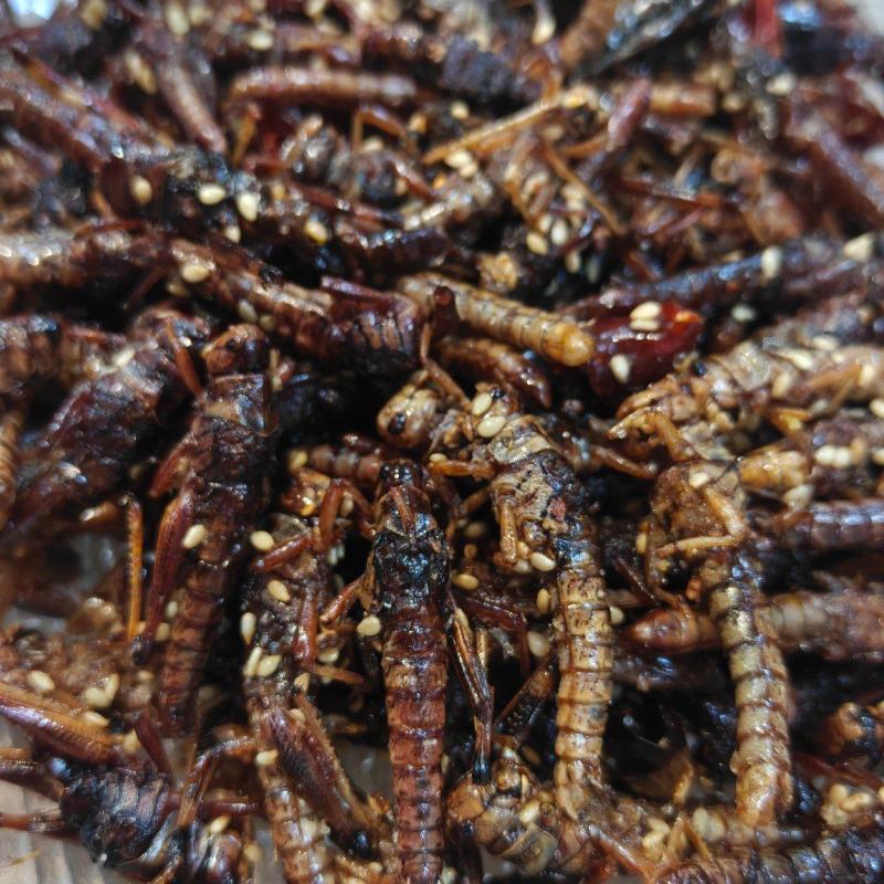 炸蚂蚱香酥蚕蛹
