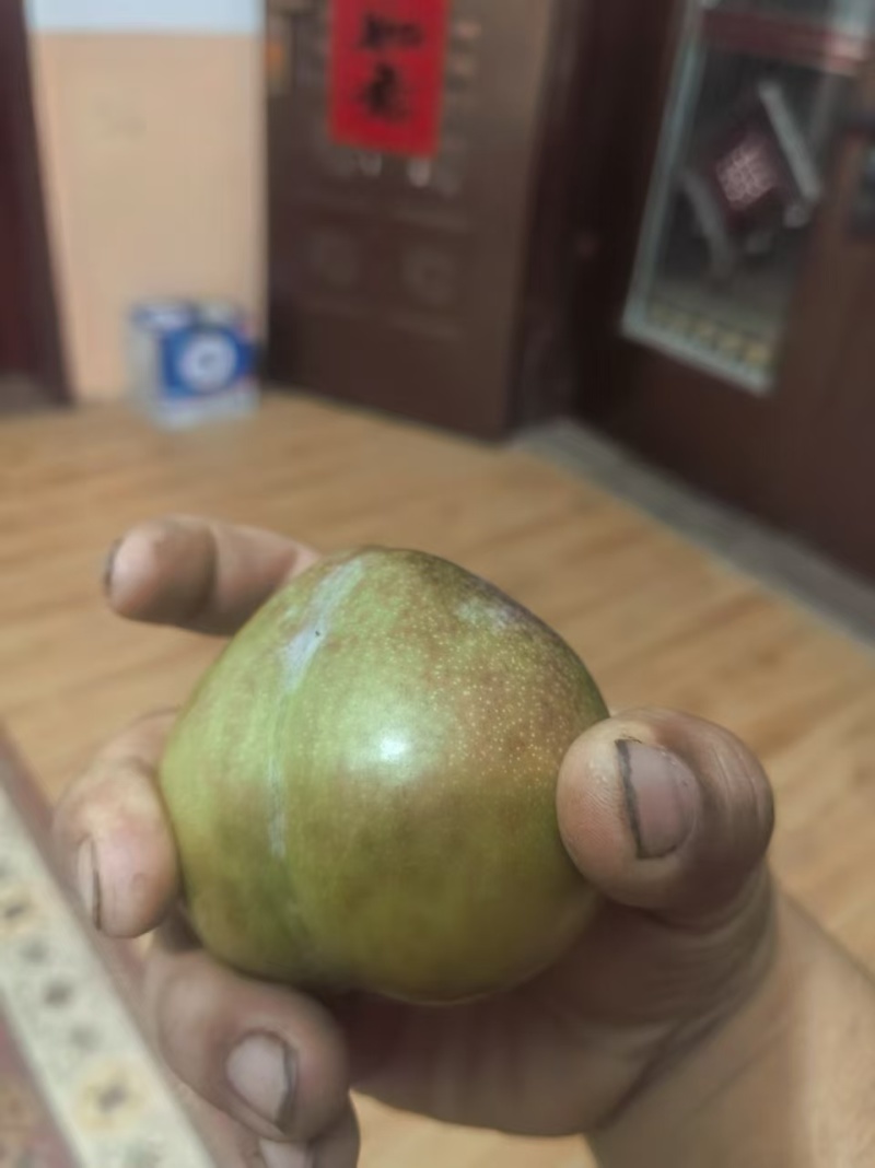 红心李，芙蓉李，脆甜多汁，产地直销，量大。欢迎大家光临。