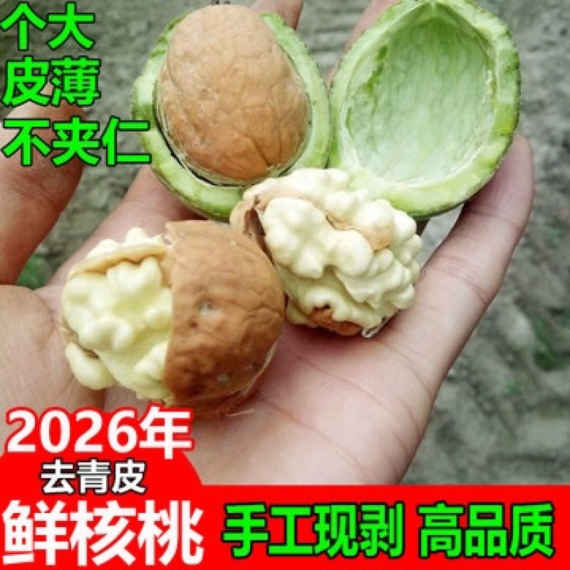 青皮核桃、水核桃、青仁、纸皮鲜核桃、老树山核桃、绵仁核桃