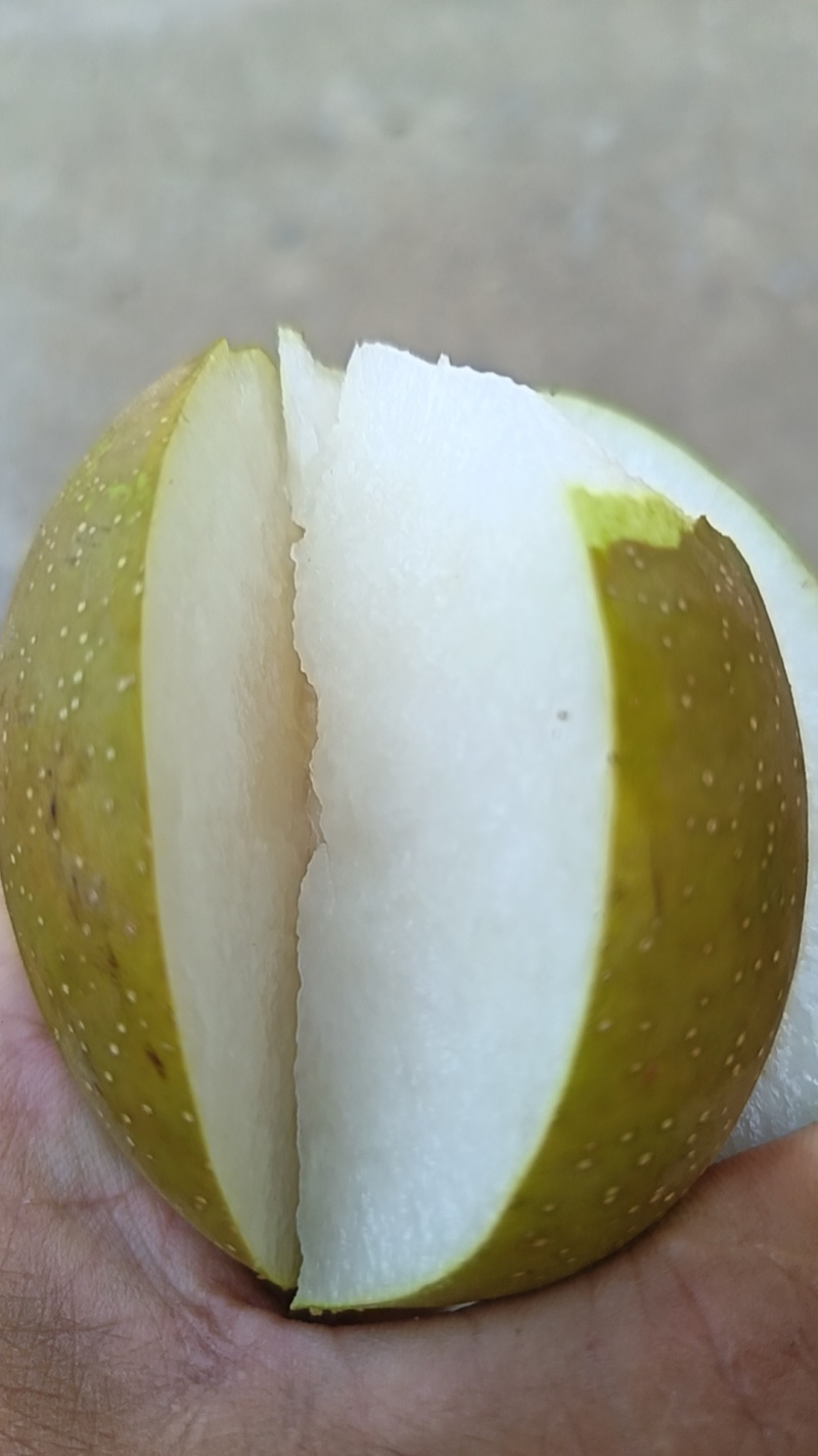口感包甜。皮薄汁多，口感好。