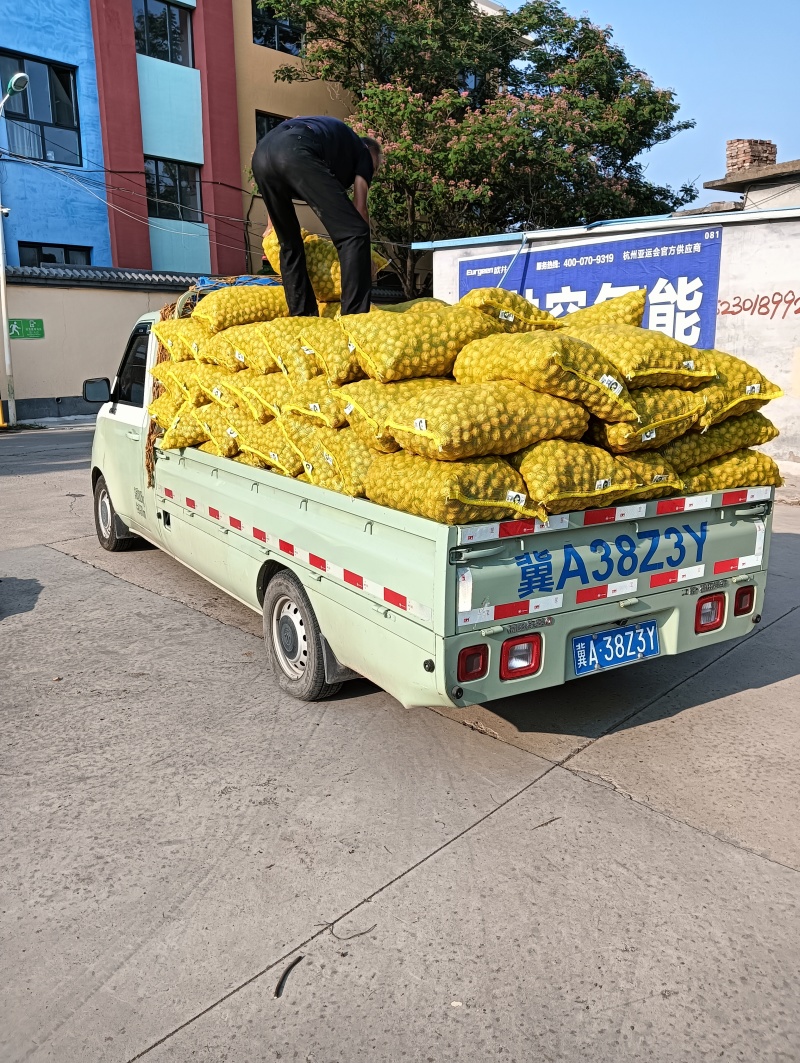 2026年鲜核桃薄皮鲜核桃开始了