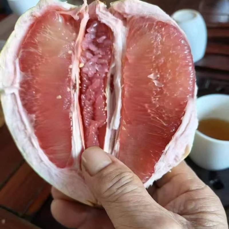 云南蜜柚海南蜜柚批发价格实惠运输便利欢迎老板联系