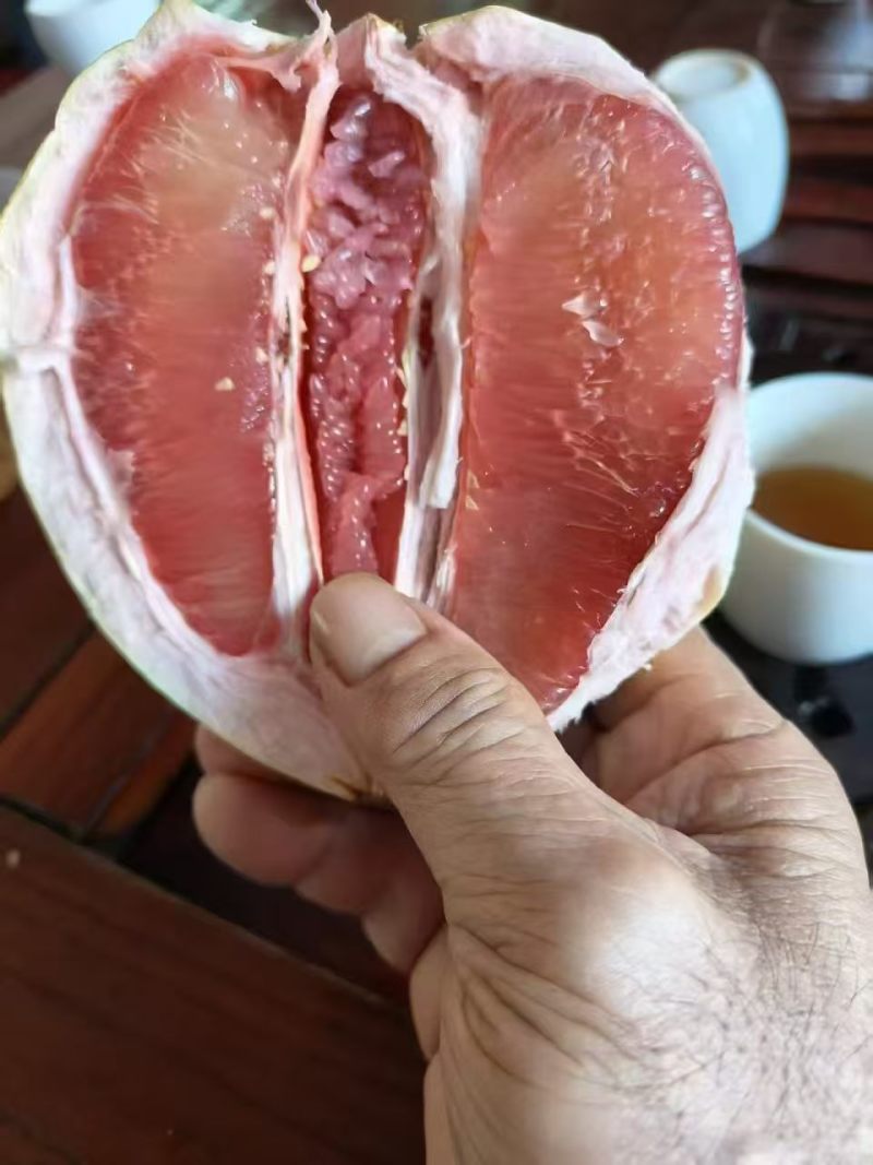 云南蜜柚海南蜜柚批发价格实惠运输便利欢迎老板联系