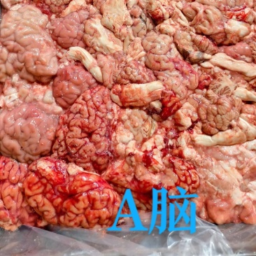 A脑，工厂直发。25公斤一件