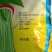 枯草芽孢杆菌白粉病锈病蔬菜果树枯草芽孢杆菌白粉病稻瘟病黄