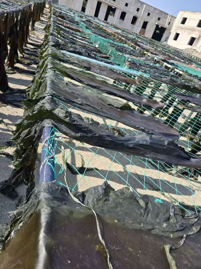 90公分海带头菜，颜色厚度没问题，识货的朋友可以联系
