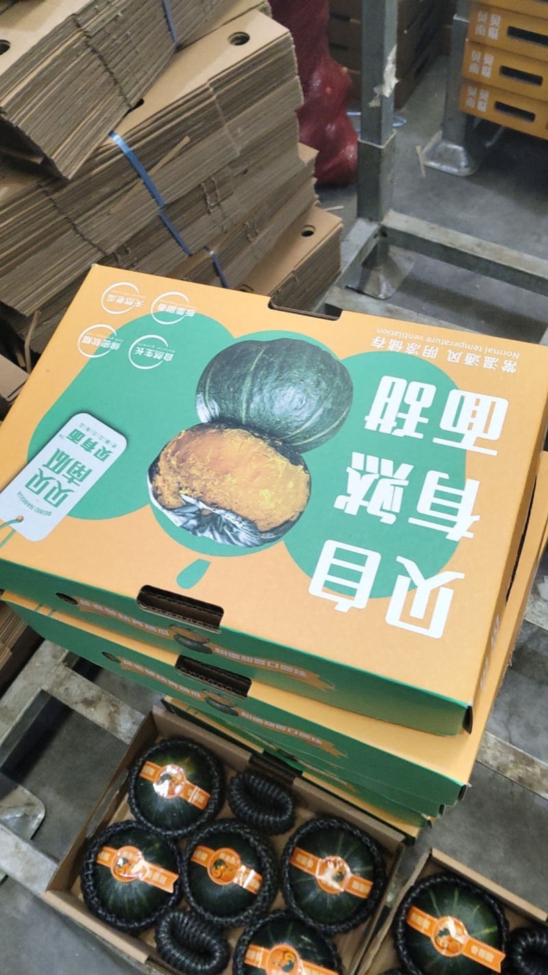 高端贝贝南瓜支持一件代发电商和高端市场档口