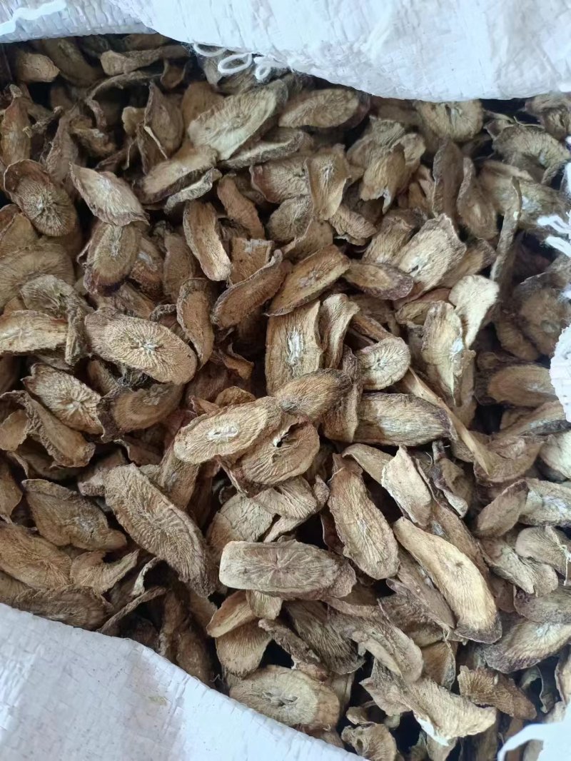 牛蒡保鲜牛蒡牛蒡根牛蒡茶牛蒡干条牛蒡圆片颗粒