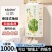 单提丝飘抽纸1000张悬挂式本色抽纸宿舍用家用实惠面巾纸