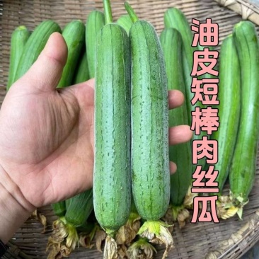 油皮丝瓜香丝瓜肉丝瓜