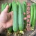 油皮丝瓜香丝瓜肉丝瓜