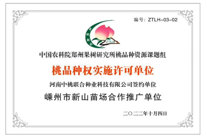 中蟠7号新品种早熟黄金蟠100桃苗黄肉毛