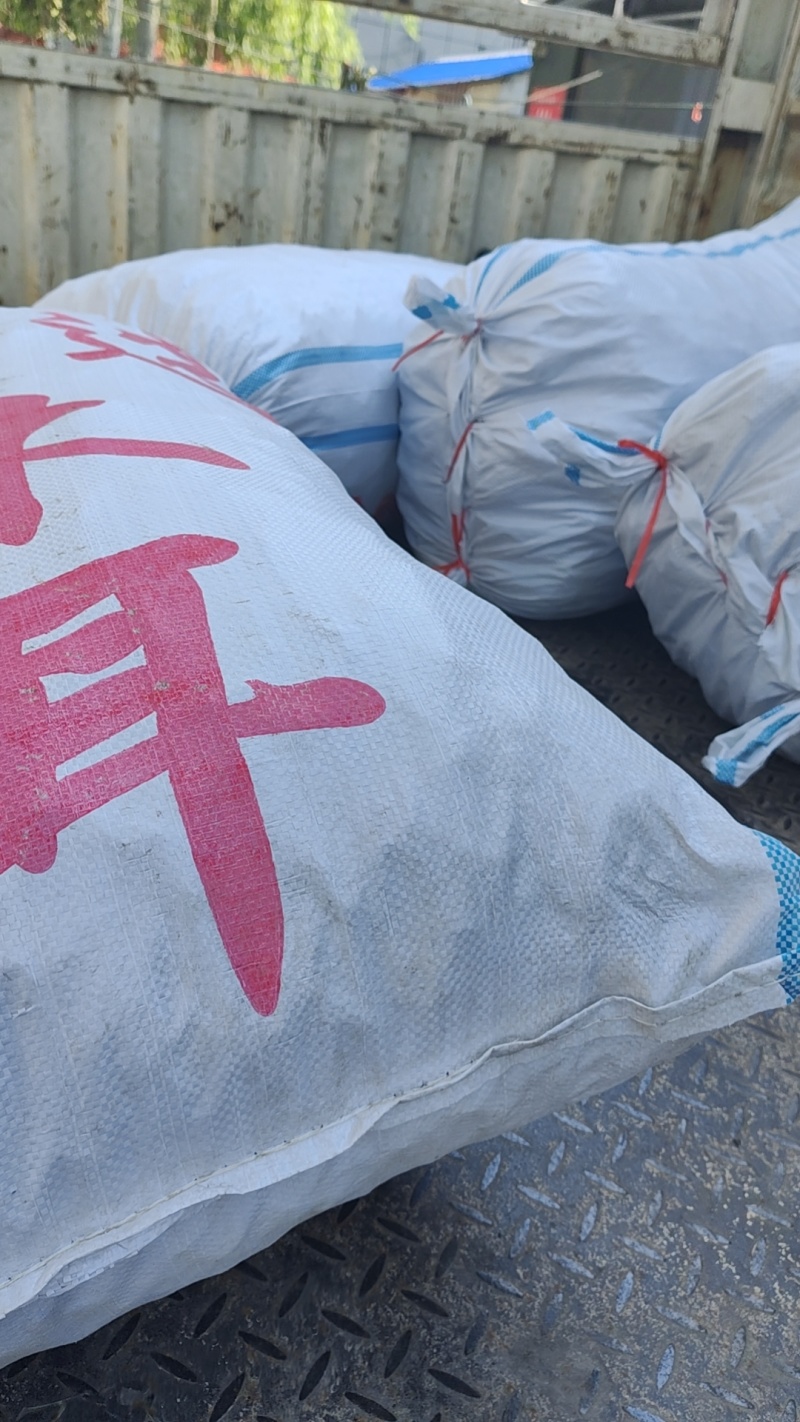 头茬精品毛木耳