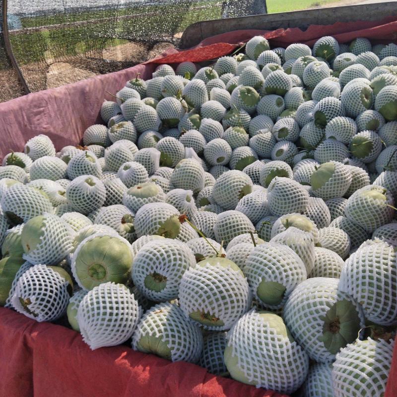 绿宝
