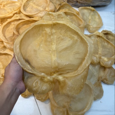 鱼胶，花胶黄花胶。高端送礼酒席招待专用花胶