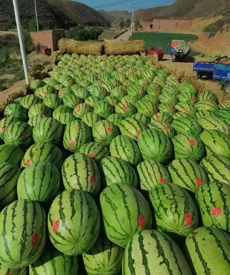 宁夏精品石头瓜硒砂瓜大红瓤产地一手货源量大从优
