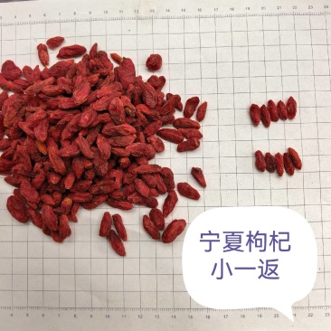 宁夏枸杞新货，小一返，干度好，不粘不结块。