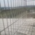 特级川麦冬