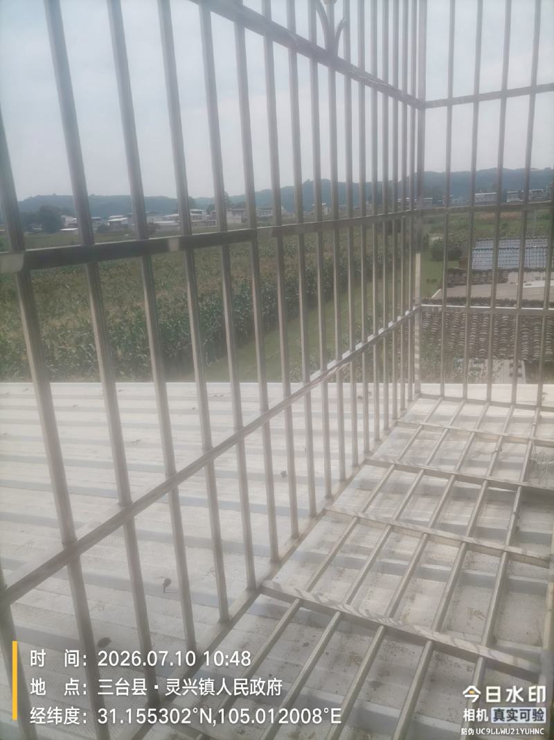 特级川麦冬