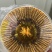 福利小草，虫草规格齐全，数量有限，先到先得