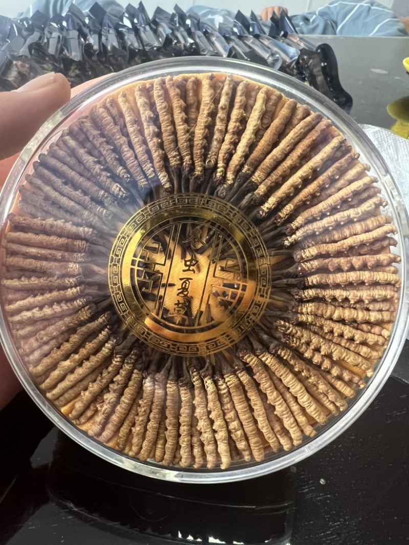 福利小草，虫草规格齐全，数量有限，先到先得
