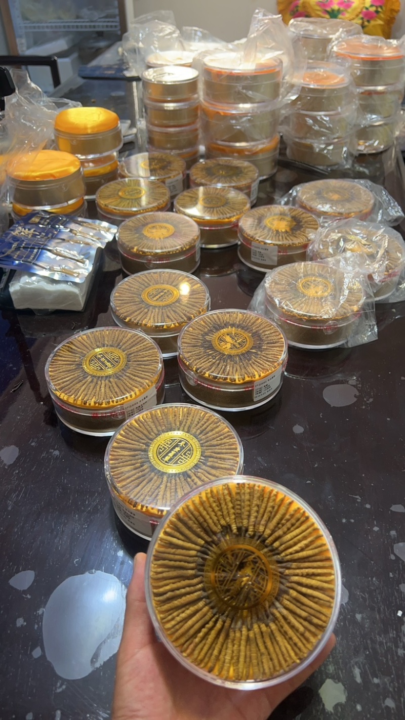 2500条精品野生虫草，1盒100根，送礼送健康